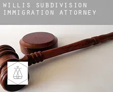 Willis Subdivision  immigration attorney