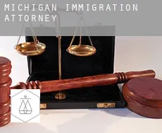 Michigan  immigration attorney