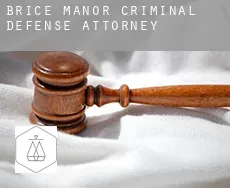 Brice Manor  criminal defense attorney