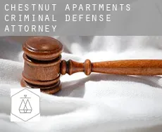 Chestnut Apartments  criminal defense attorney