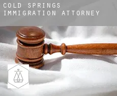 Cold Springs  immigration attorney