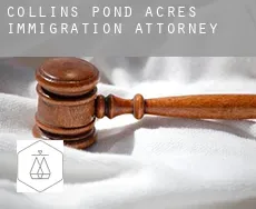 Collins Pond Acres  immigration attorney