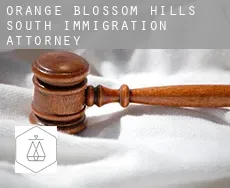 Orange Blossom Hills South  immigration attorney