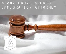 Shady Grove Shores  immigration attorney