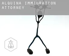 Alquina  immigration attorney