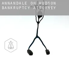 Annandale-on-Hudson  bankruptcy attorney
