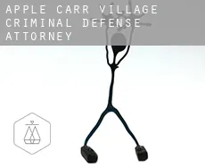 Apple Carr Village  criminal defense attorney