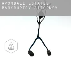 Avondale Estates  bankruptcy attorney
