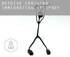 Beehive Crossing  immigration attorney