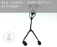 Big Cedar  bankruptcy attorney