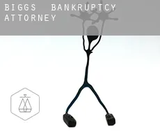 Biggs  bankruptcy attorney