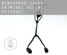 Birchwood Lakes  criminal defense attorney