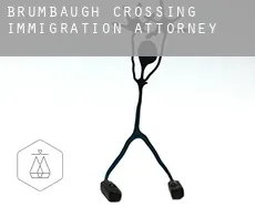 Brumbaugh Crossing  immigration attorney