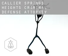 Callier Springs Heights  criminal defense attorney