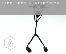 Camp Sumner  attorneys