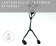 Cartersville  divorce attorney