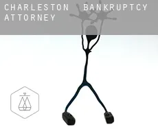 Charleston  bankruptcy attorney