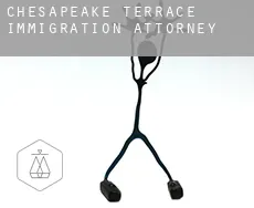 Chesapeake Terrace  immigration attorney