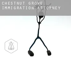 Chestnut Grove  immigration attorney