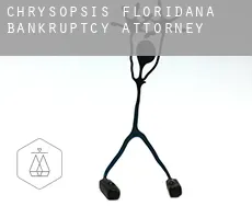 Chrysopsis Floridana  bankruptcy attorney
