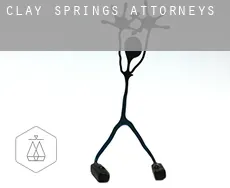 Clay Springs  attorneys