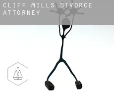 Cliff Mills  divorce attorney