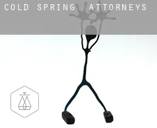 Cold Spring  attorneys