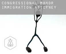 Congressional Manor  immigration attorney