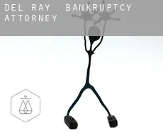 Del Ray  bankruptcy attorney