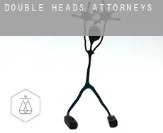 Double Heads  attorneys