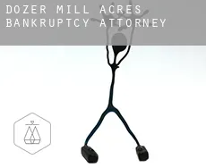 Dozer Mill Acres  bankruptcy attorney