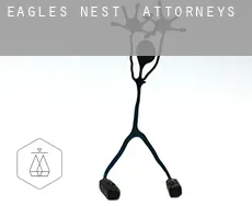 Eagles Nest  attorneys
