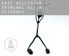 East Williston criminal defense attorney
