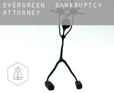 Evergreen  bankruptcy attorney