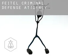 Feitel criminal defense attorney