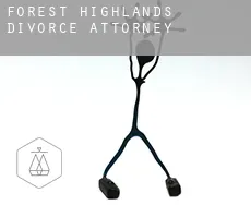 Forest Highlands  divorce attorney