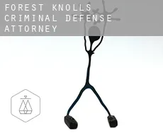 Forest Knolls  criminal defense attorney