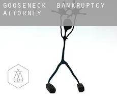 Gooseneck  bankruptcy attorney