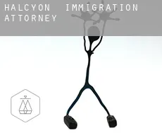 Halcyon  immigration attorney