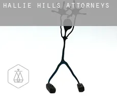 Hallie Hills  attorneys