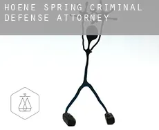 Hoene Spring  criminal defense attorney