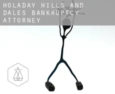 Holaday Hills and Dales  bankruptcy attorney
