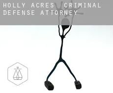 Holly Acres  criminal defense attorney