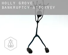 Holly Grove bankruptcy attorney