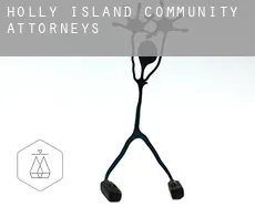 Holly Island Community  attorneys