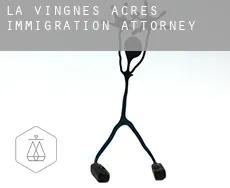La Vingnes Acres  immigration attorney