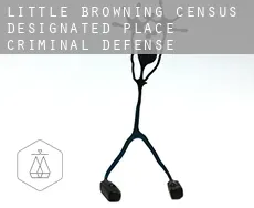 Little Browning  criminal defense attorney