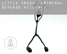 Little Creek  criminal defense attorney
