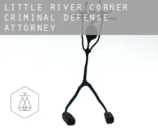 Little River Corner  criminal defense attorney