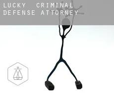 Lucky  criminal defense attorney